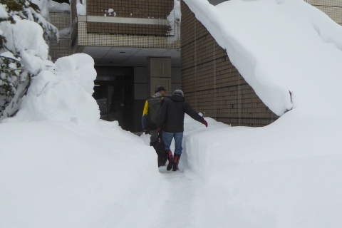 腿の高さぐらいの雪の中、校舎へ入る人の写真