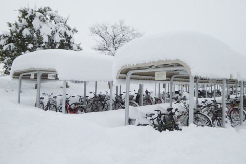 雪に埋もれる高岡キャンパスの駐輪場の写真