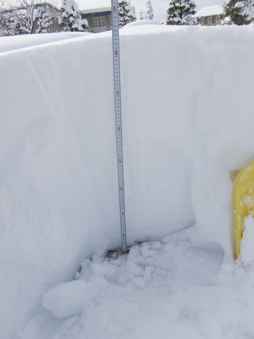 地面が出るまで垂直に除雪し、除雪していない面にメジャーを当て積雪を測っている写真
