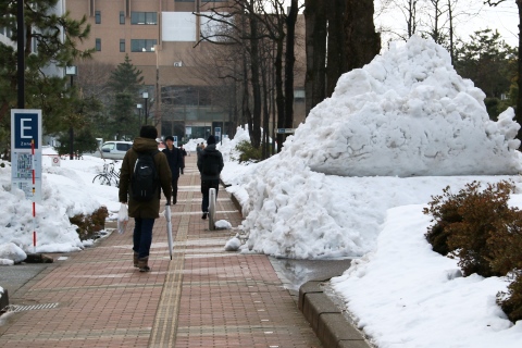 構内歩道の脇の人の背丈の倍ぐらいの雪の山の写真