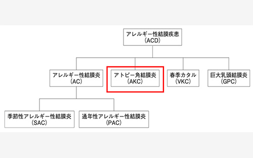 CP4715」の慢性のアレルギー性結膜炎への改善効果を発見 －世界初の