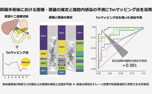 術後感染症を“早く、詳しく”見つける新技術の開発 ～Tmマッピング法の